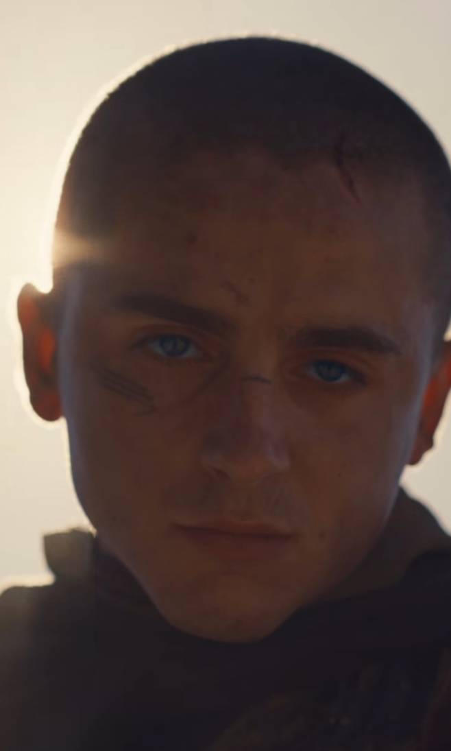 티모시 샬라메. 사진. | 워너브라더스 코리아