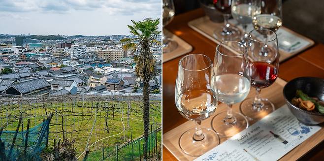 포도와 와인의 오랜 역사를 지닌 오사카 가시와라. 100년 넘는 역사의 카타시모 와이너리 와인은 2019년 G20 오사카 정상회의 만찬주로도 올랐다. 백종현 기자