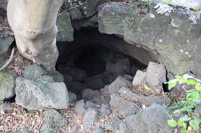 4·3사건 당시 제주 도민들이 군경을 피해 집단으로 피난 생활을 했던 동굴인 서귀포시 안덕면 동광리 큰넓궤 입구. 박미라 기자
