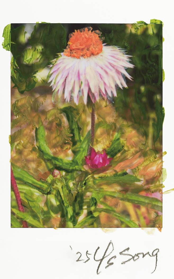 <Meditation on the Road 길 위에서>, 2025, Oil painting on polaroid, ⓒ송영숙