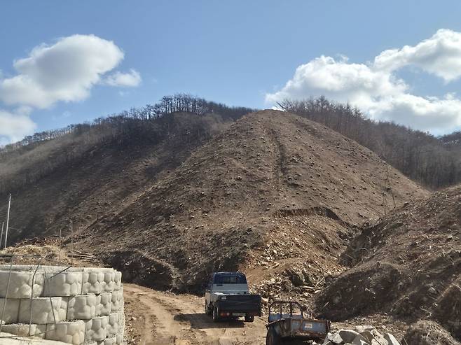 대규모 산불이 지나간 후의 경북 영양군의 산 모습. 소나무가 빼곡히 자라있던 이곳은 산불 피해를 입은 후 나무가 제거돼 '빈 산'으로 남아있다. 영양=이강민 기자