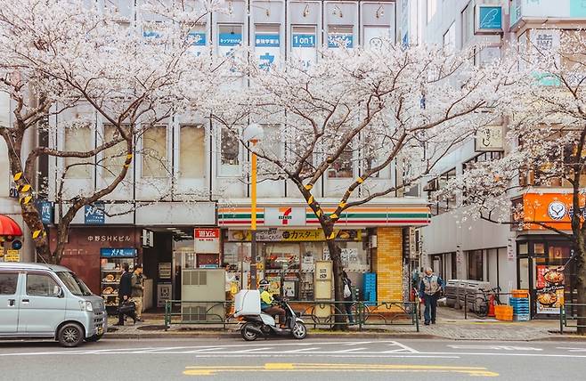 벚꽃 핀 일본 도쿄 / 사진= 언스플래쉬