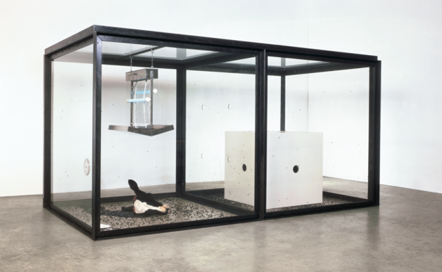 허스트의 ‘천년’. 국립현대미술관 제공