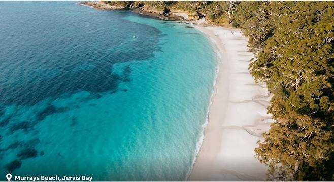 그야말로 새하얀 머레이비치 백사장