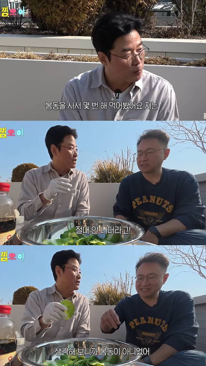 사실은 '얼갈이배추비빔밥'이었던 '봄동비빔밥'. 유튜브 채널 '채널십오야' 영상 캡처