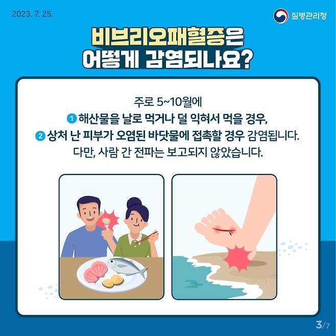 비브리오패혈증 예방 홍보물.