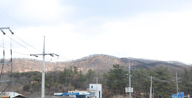 산불로 앙상하게 변한 산림 (대구=연합뉴스) 박세진 기자 = 지난 13일 경북 안동시 길안면 일대 산림이 불에 타 앙상한 모습으로 남아있다. 2026.3.18 psjpsj@yna.co.kr