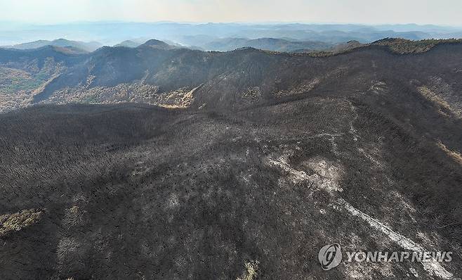 지난해 3월 경북산불 당시 모습 [연합뉴스 자료사진]