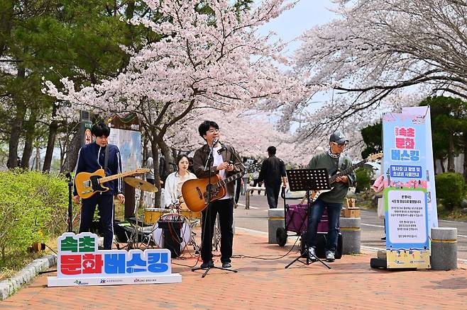속초 문화 버스킹 [속초시 제공. 재판매 및 DB 금지]