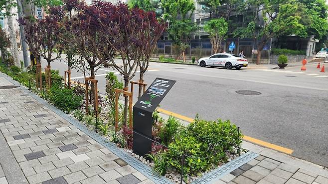 ▲서울 영등포구 버드나무로에 조성된 빗물가로정원 (사진=서울시)