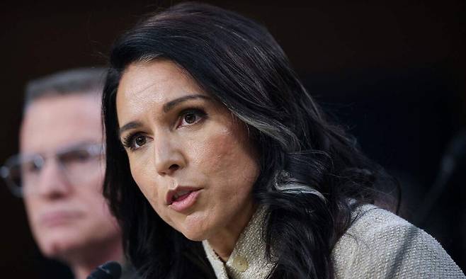 18일(현지시각) 미국 워싱턴 하트 상원 사무동에서 열린 ‘전 세계 위협’ 관련 상원 정보위원회 청문회에서 털시 개버드 국가정보국(DNI) 국장이 증언하고 있다. 워싱턴/AFP 연합뉴스