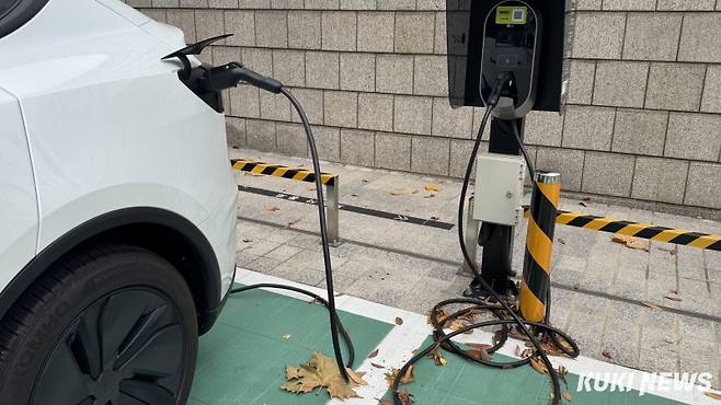 쿠키뉴스 자료사진