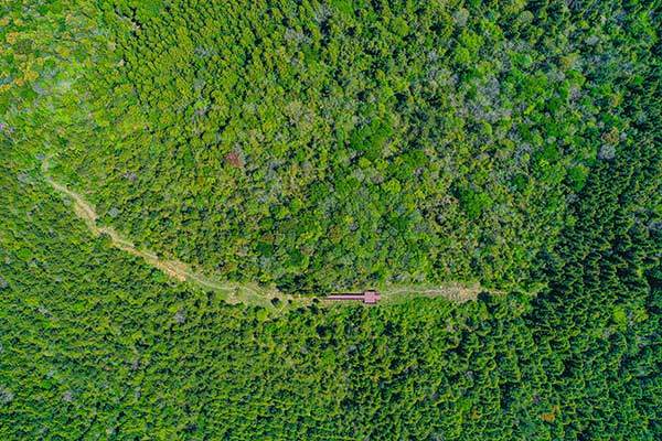말의 등처럼 평평하고 긴 오름 정상부. 평상과 전망 데크가 조성되어 있다.