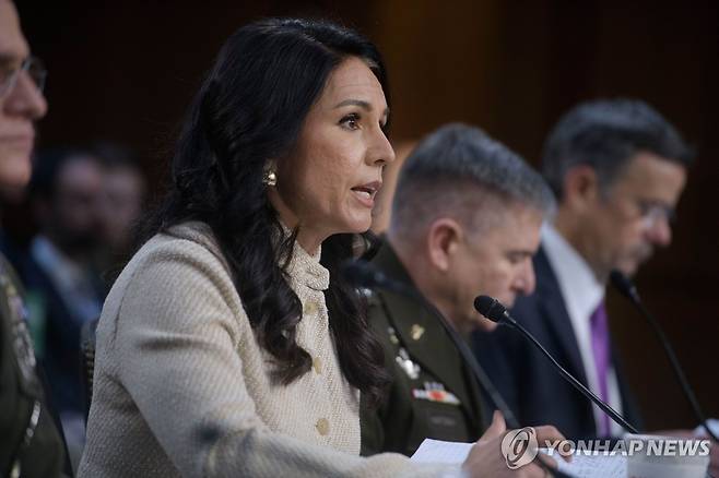 상원 정보위 청문회에서 답변하는 털시 개버드 DNI 국장 [AP 연합뉴스. 재판매 및 DB 금지]