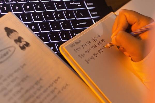 BTS의 해외 팬이 RM의 '들꽃놀이' 가사를 노트에 적고 있다. 사진=셔터스톡