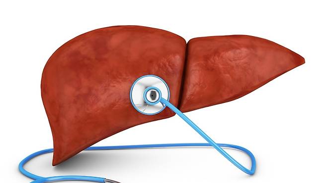 풀리지 않는 만성 피로, 의외로 '간'이 원인일 수 있다｜출처: 클립아트코리아