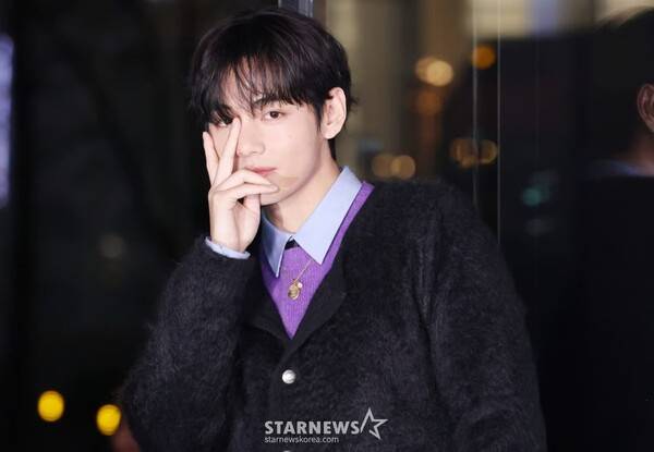 방탄소년단 뷔 / 사진=스타뉴스 DB