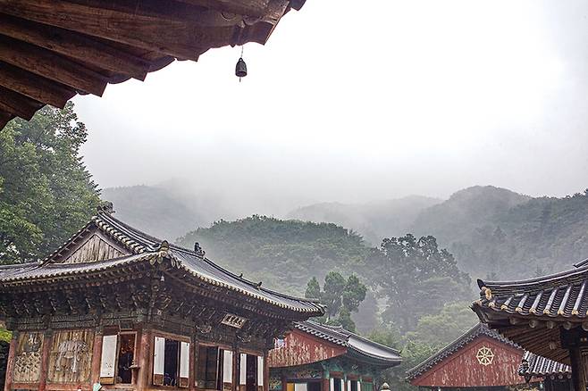 운치 가득한 파주 보광사