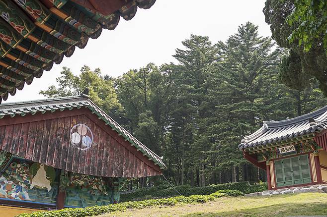 신라 진성여왕 때 창건한 고찰 보광사. 경내 뒤편의 전나무 숲이 백미다.