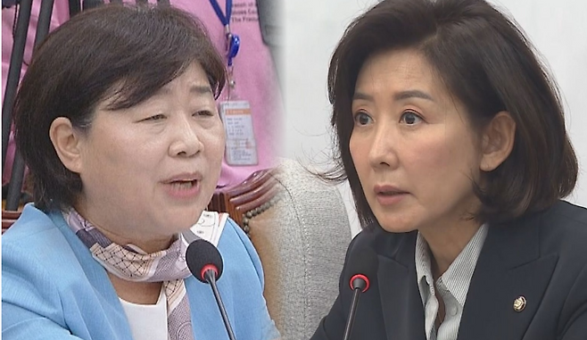 서영교(왼쪽) 더불어민주당 의원과 나경원 국민의힘 의원