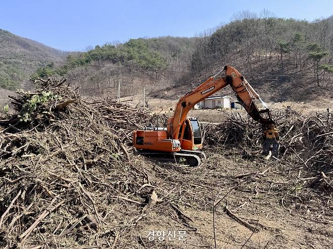 의성군 임시 산불피해목 수집장에서 지난 17일 중장비가 인공조림으로 베어져 쌓인 나무가지 등을 옮기고 있다. 백경열 기자
