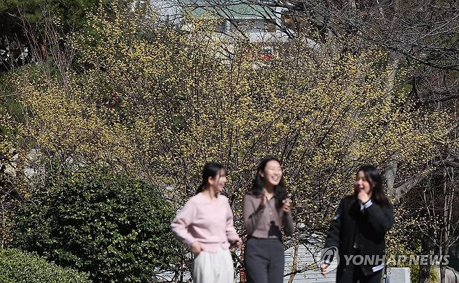 봄 도착 (창원=연합뉴스) 김동민 기자 = 낮과 밤의 길이가 같다는 절기 '춘분'인 20일 경남 창원시 마산합포구 경남대학교 월영캠퍼스에 산수유가 펴 시선을 끈다. 2026.3.20 image@yna.co.kr