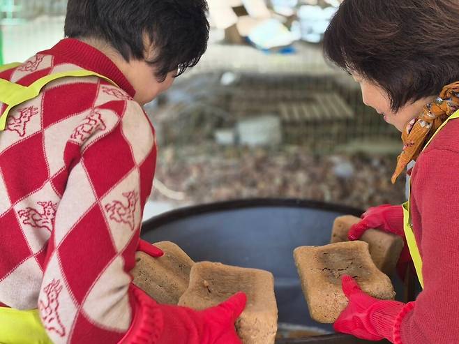 슬로푸드 울릉군지부 회원들이 잘 띄워진 메주를 차곡차곡 담으며 장 담그기 시연하고 있다. 울릉도 고유의 식문화를 계승하려는 주민들의 손길에 정성이 가득하다.