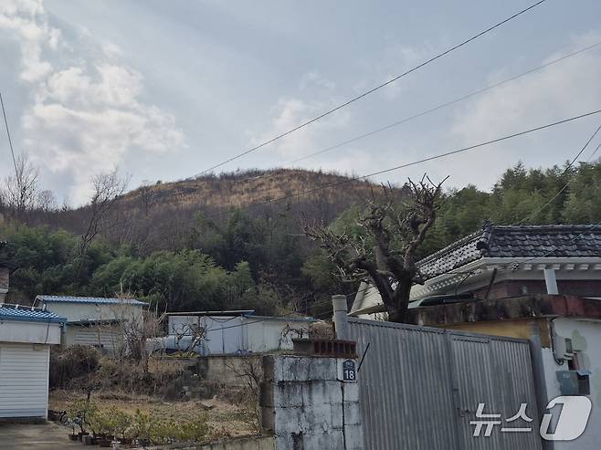 지난 17일 울산 울주군 언양읍 신화마을 뒷산에 산불의 흔적이 남아있다. 울주군은 불에 탄 나무 일부를 베어냈다.2026.3.20ⓒ 뉴스1 박정현 기자