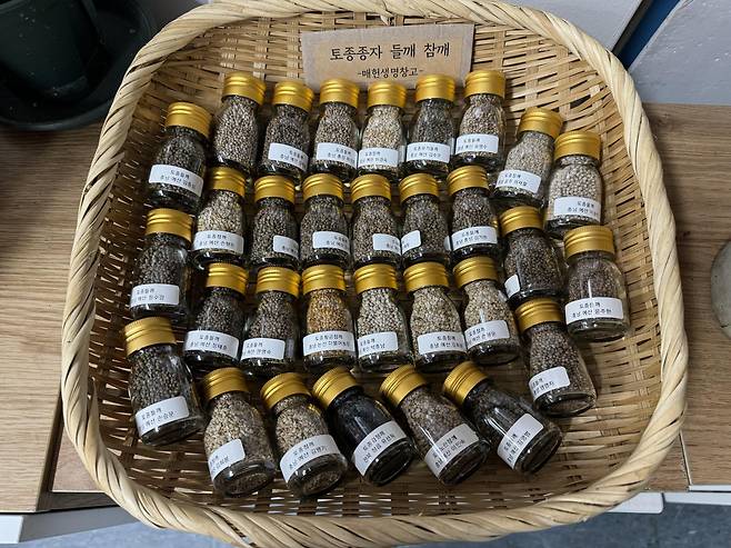 국립식량과학원에 따르면 들기름용 들깨 씨앗 품종은 35종에 이른다. 내포 제공