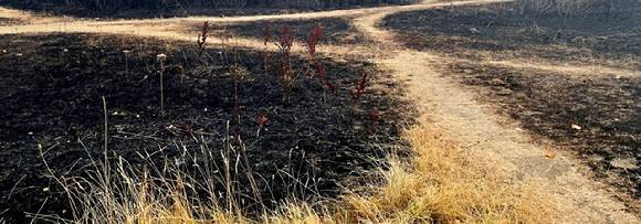 폭염과 폭풍, 폭우, 산불, 가뭄 등 기후위기로 전 세계 수백만명이 ‘적응의 한계선’에 직면한 것으로 분석됐다. 장애인에게는 기후위기가 더 가혹하다는 연구 결과가 나왔다. [사진=WWA]
