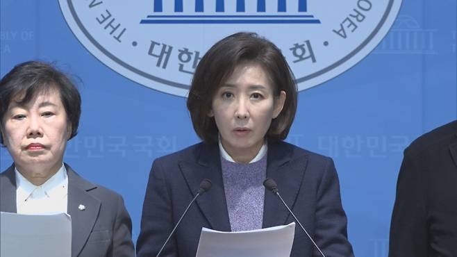 나경원 국민의힘 의원