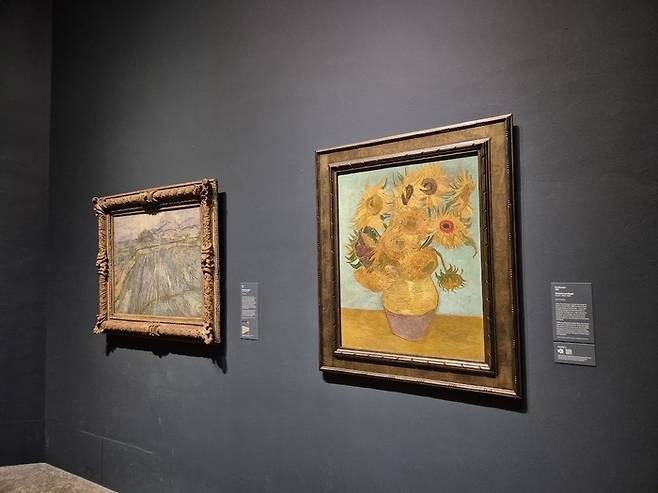 빈센트 반 고흐 [해바라기] ©김슬기