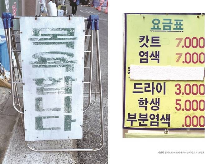 사진 = 베르단디