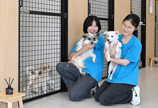 광주 동구가 고향사랑기부제 지정기부사업을 통해 조성한 ‘피스멍멍 유기견 입양센터’가 개소 반년여 동안 36마리의 유기견에게 새로운 가족을 찾아주는 등 실질적인 성과로 눈길을 끌고 있다. 사진은 센터 내부 모습.<광주동구 제공>