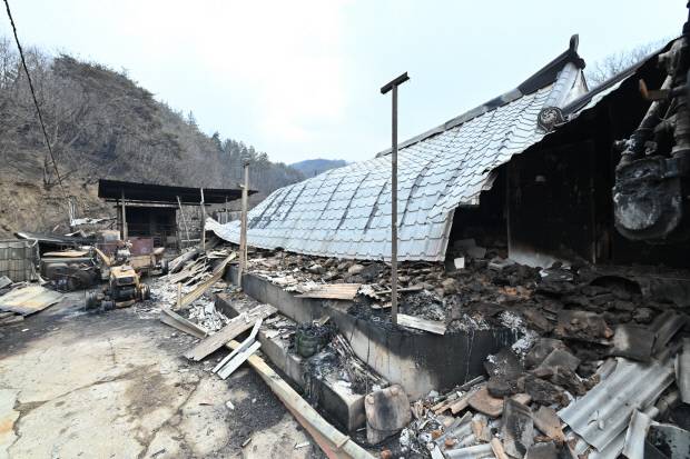 지난해 3월 약 1000㎢(축구장 약 14만개)를 태운 경북 산불이 발생한 지 1년이 지났지만 아직도 곳곳에 상처가 남아있다. 사진은 청송군에서 산불 피해를 입었던 주택피해 현장 모습. 이정호 기자