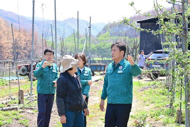 윤경희 청송군수가 산불피해 과수원을 찾아 농민과 빠른 복구를 위해 논의하고 있다.
