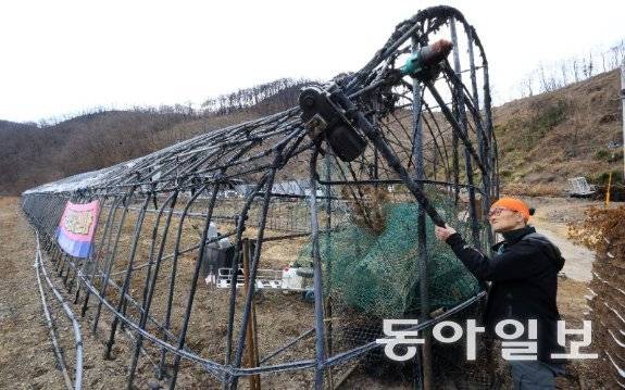 12일 경북 안동시 남선면 신흥리 마을에서 한 주민이 불에 타 뼈대만 남은 비닐하우스를 정비하고 있다. 안동=전영한 기자 scoopjyh@donga.com