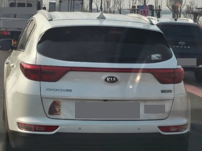 /사진=보배드림 인스타그램