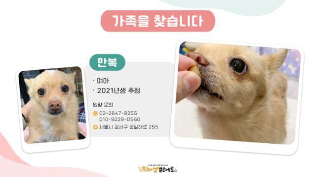 만복이 소개글. 팅커벨프로젝트 제공