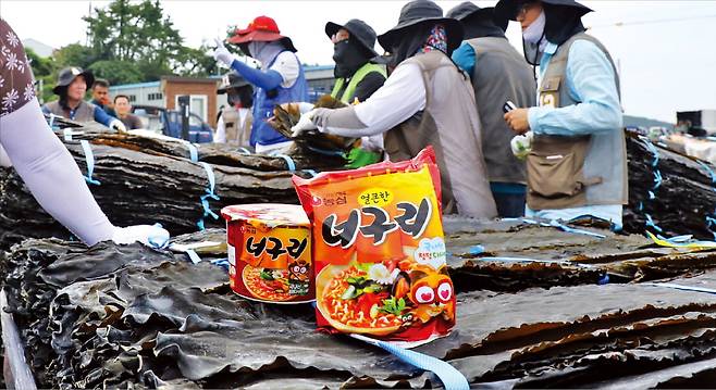 지난해 전남 완도에서 열린 다시마 경매 현장에서 위판이 진행되고 있다. 완도 다시마는 전국 생산량의 상당 부분을 차지하는 대표 수산물로 건조·가공을 거쳐 전국으로 유통된다.  농심 제공