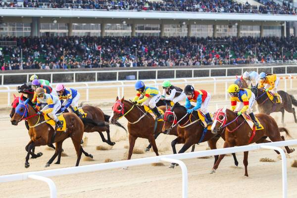 한국마사회 경마 장면. 한국마사회 제공