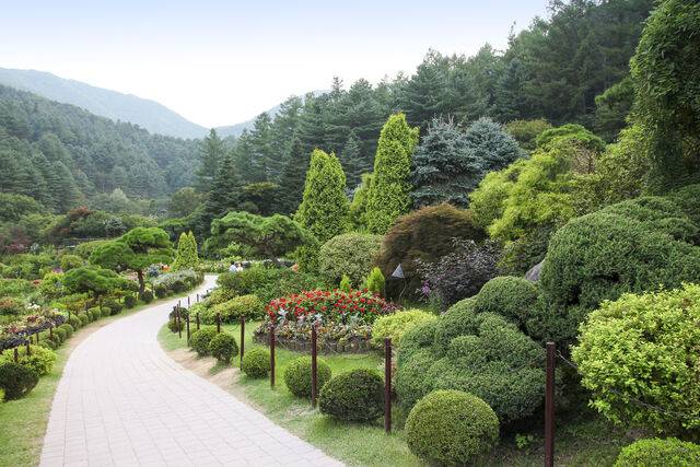 클립아트코리아