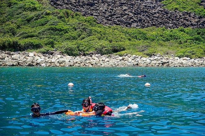 베트남 '펫키지' 투어 프로그램 [하나투어 제공]