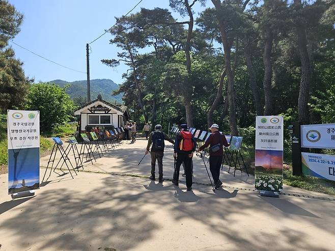 ▲ 경주국립공원사무소가 자매결연을 맺고 있는 대만 양명산 국가공원과의 '공동 사진전'을 오는 27일부터 29일까지 3일간 경주 남산 삼릉탐방지원센터 일원에서 개최키로 했다. 사진은 삼릉탐방지원센터 앞엥 전시된 사진을 감상하며 지나가는 탐방객 모습. 경주국립공원사무소