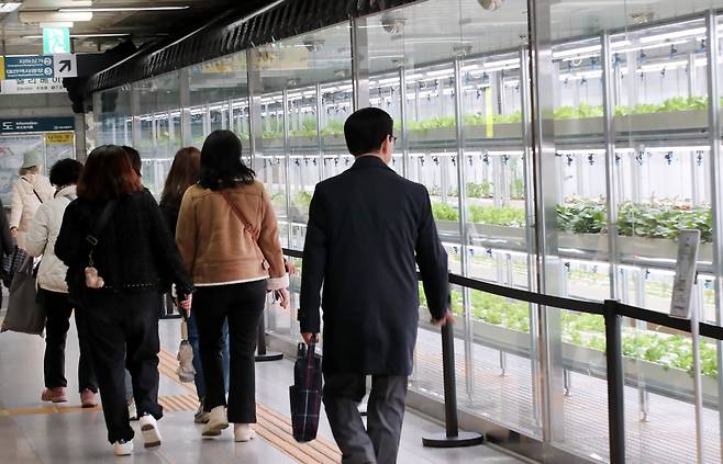 지난 18일 대전도시철도 대전역 지하 1층에 조성된 스마트팜에서 시민들이 다양한 작물이 자라는 모습을 바라보며 지나고 있다. /신현종 기자
