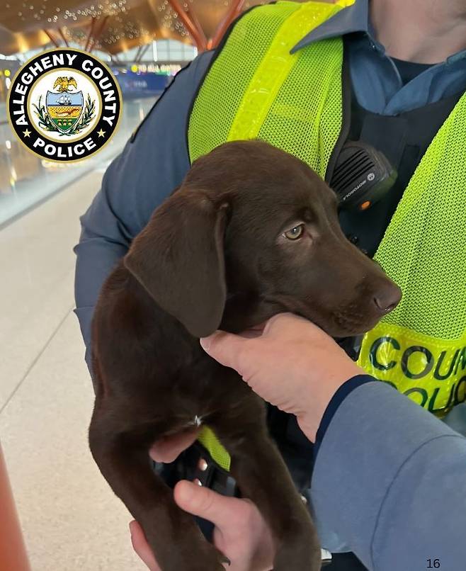 출처 - 페이스북 갈무리 @Allegheny County Police Department