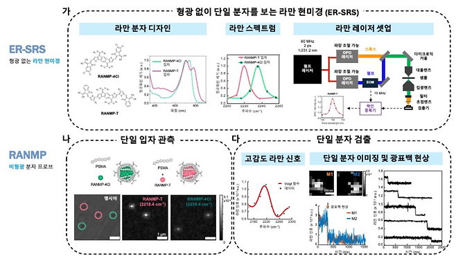 전자 공명 라만 현미경 전반적인 개요. (심상희 교수)