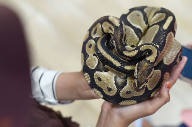 /사진=게티이미지뱅크