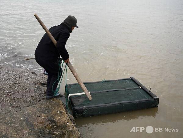 사진은 칼럼과 관련 없는 참고 이미지입니다. 사진제공=ⓒAFPBBNews = News1 (사진을 무단으로 사용하지 마십시오.)