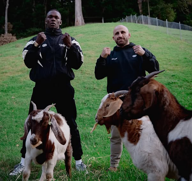 이스라엘 아데산야(왼쪽)와 알렉산더 볼카노프스키. 사진=UFC